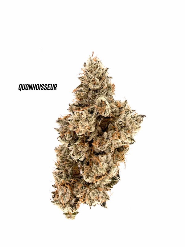 Quonnoisseur - Winter Resin #2