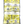 Load image into Gallery viewer, Irie Genetics - "Golden Girls" Series FEMS 12 Pack