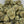 Load image into Gallery viewer, Devil Runtz [28G] Mid-Shelf (AAA)
