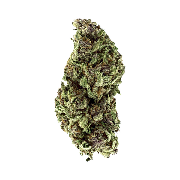 Lilac Canna - Blueberry Sour [28G]