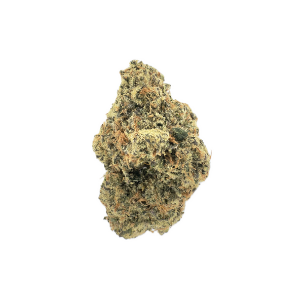 Lilac Canna - Cherry Runtz BX [Greenhouse Batch]