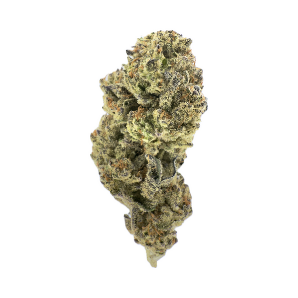 Lilac Canna - Divine Kush Breath [28G]