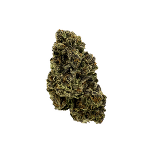 Lilac Canna - Cinnamon Girl [28G]