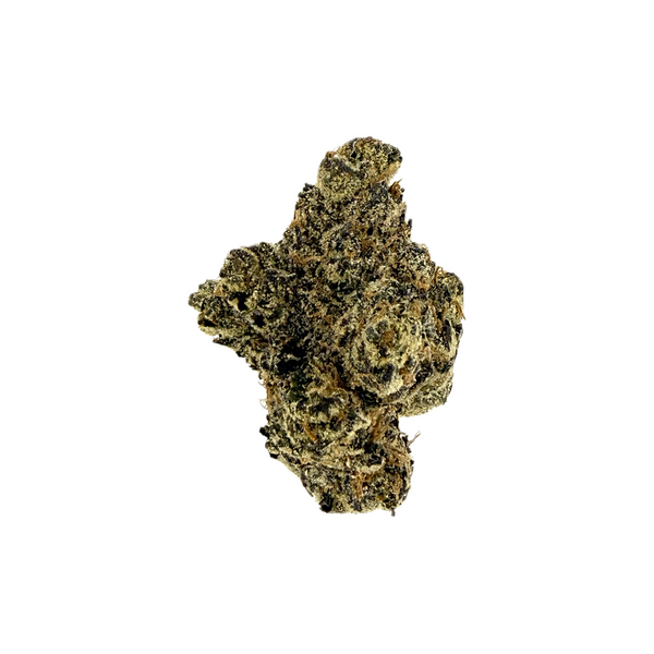 Lilac Canna - Black Cherry Gelato [Artisan Batch]