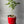 Load image into Gallery viewer, Wedding Cake x Early Orange TEEN
