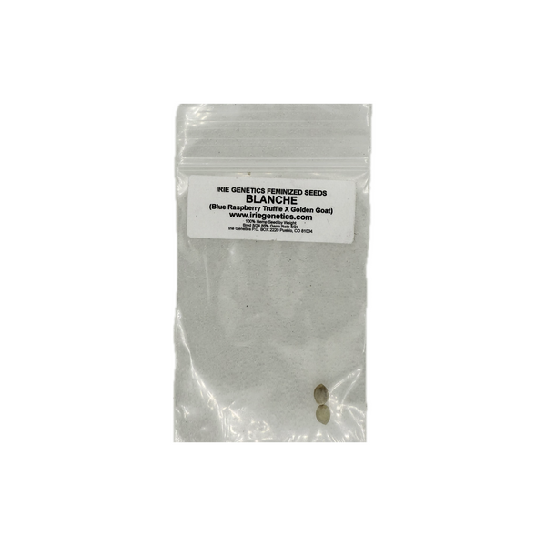 Irie Genetics - "Blanche" FEMS 2 Pack