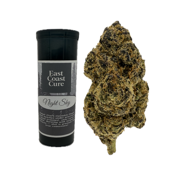 East Coast Cure - "Night Sky" [14G]