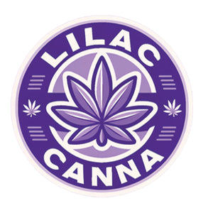 Lilac Canna - Black Cherry Gelato [28G]