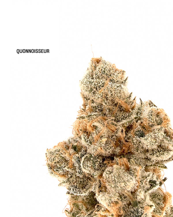 Quonnoisseur - Orange Chicken