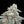 Load image into Gallery viewer, Glacier Pie × Early Mandarin Seedling
