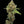 Load image into Gallery viewer, Bandito OG × Ice Cream Pie Seedling
